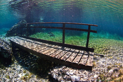 Brücke im Grünen See