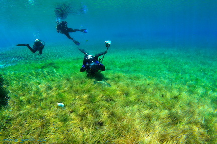 Juliane Gierth im Grünen See