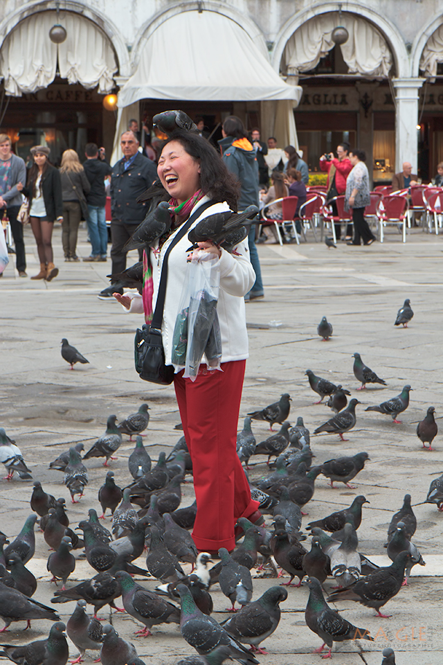 Spaß mit Tauben auf dem Markusplatz
